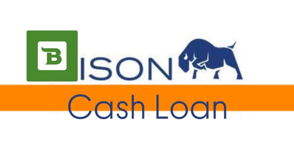 Bison Cash Loans: Tips For Quick and Reliable Financial Assistance in the United States